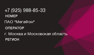 9259888533